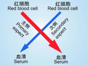 交叉配血的原理交叉配血试验的原理意义及输血原则2