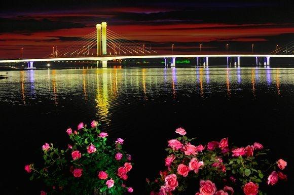 2019南阳襄阳gdp_2019年襄阳马拉松官网(3)