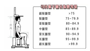 马氏躯干腿长指数