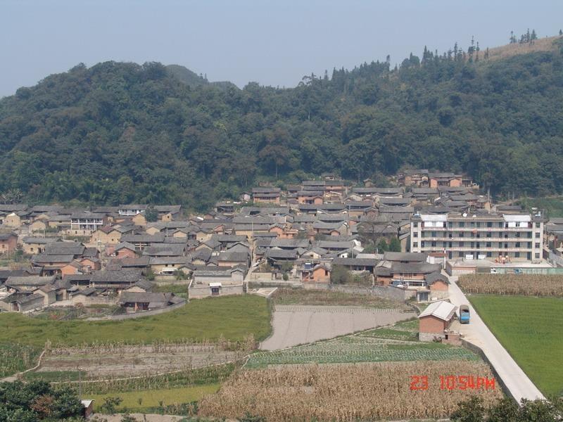 冯庄镇岳寨村人口_冯提莫男人装