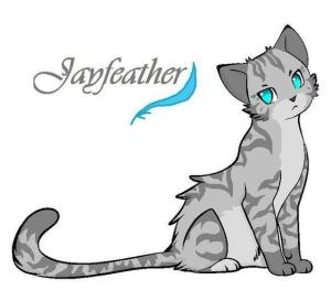猫武士出处巫医职位jayfeather外文名雷族族群星族信仰松鸦羽中文名浅