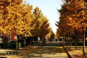 中国传媒大学图册