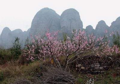 九连山人口_九连山图片