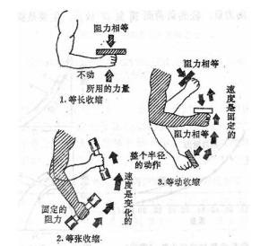 什么是进行性肌肉委缩 300