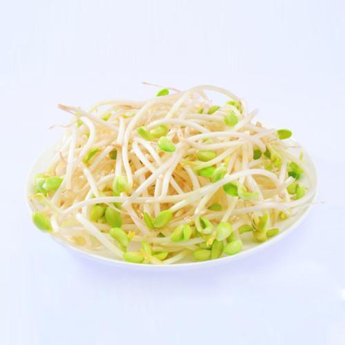 绿豆芽