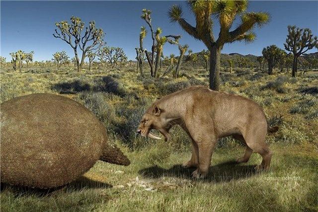 刃齿虎是一种食肉目的动物,曾生存在200万年前的南美,现已灭绝.