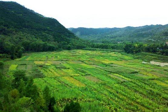 山西省长治市平顺县西沟乡西沟村,位于山西省长治市平顺县西沟乡,是