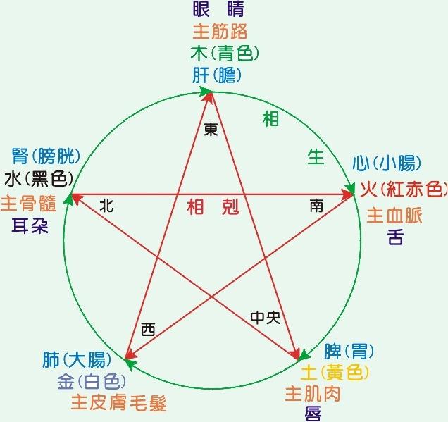 全部版本 最新版本  相乘与相侮,是五行关系在某种因素作用影响下所