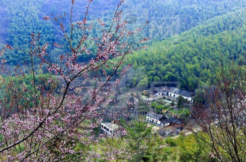 葛仙山乡
