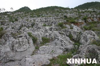 全部版本 历史版本  石漠化(stony desertification)即石质荒漠化,是