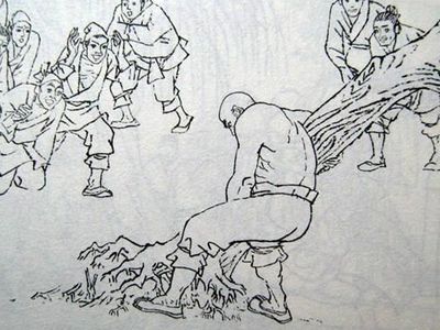 杨柳什么什么成语(3)