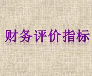财务评价指标