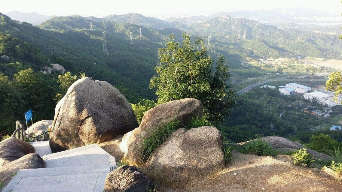 凤凰山(广东省深圳市凤凰山森林公园) - 搜狗百科
