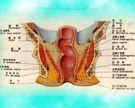 肛门疼痛