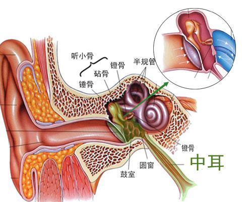 分泌性中耳炎