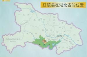 荆州市常住人口_荆州市人民政府(2)