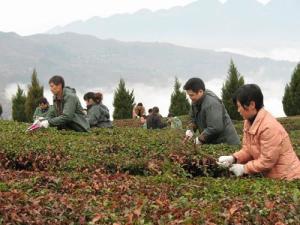 湖北建始县三里乡 - 搜狗百科