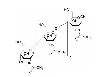 一种聚乙酰氨基葡萄糖的生物高分子聚合物.