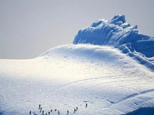 指冰层把南极裹成了一个高原得名原因冰雪高原中文名冰雪高原是指南极