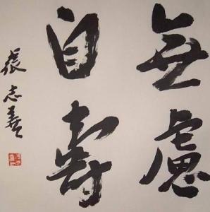 张志善