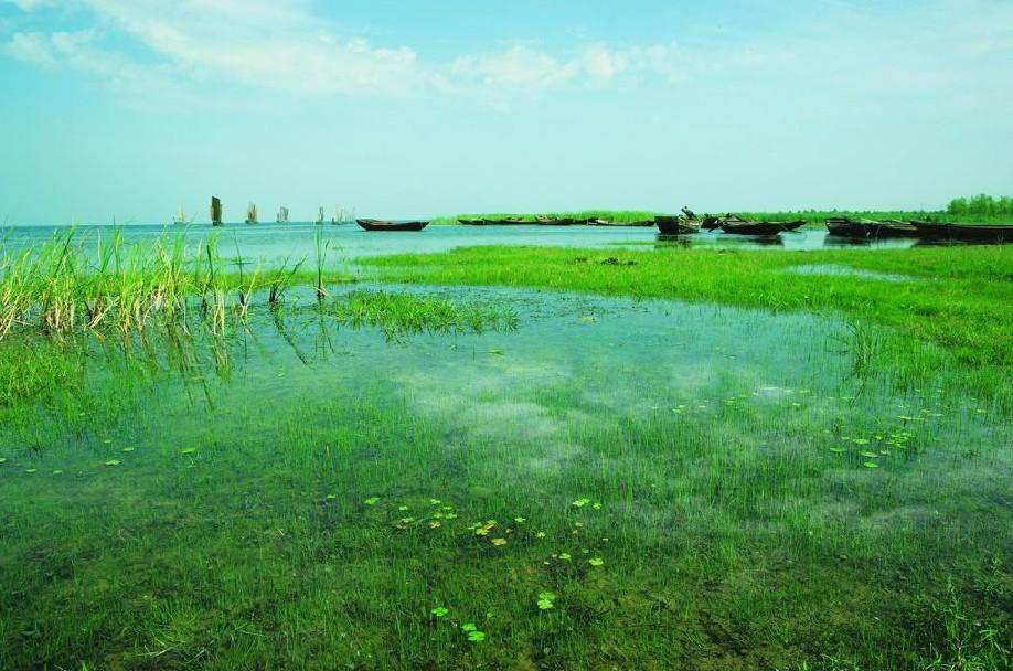 三角咀湿地公园