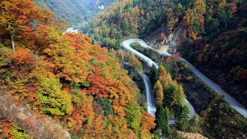 光雾山风景区