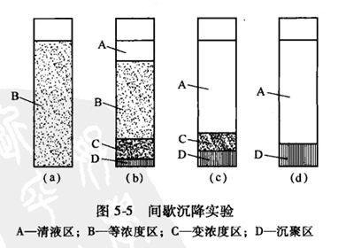 在自由沉降过程中,矿粒只受到本身重力,介质浮力和阻力的作用而不受