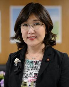 稻田朋美 搜狗百科