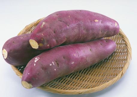 信宜话带字表情