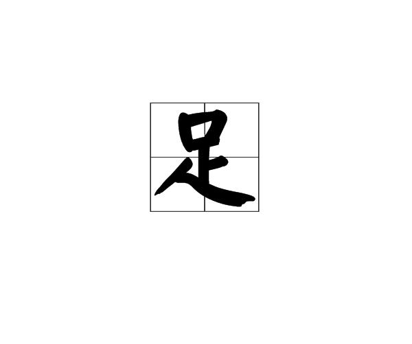 本意指包括膝盖在内的小腿,《说文解字足部》中解释为:"足,人之足也