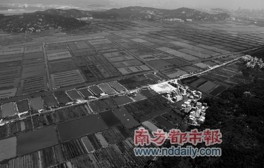 桐琴镇经济总量_桐琴镇最新规划图(2)