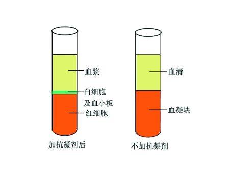 血清