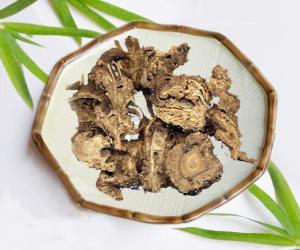 苍术汤