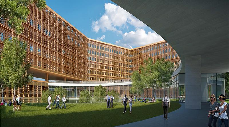 南方科技大学排名_南方科技大学
