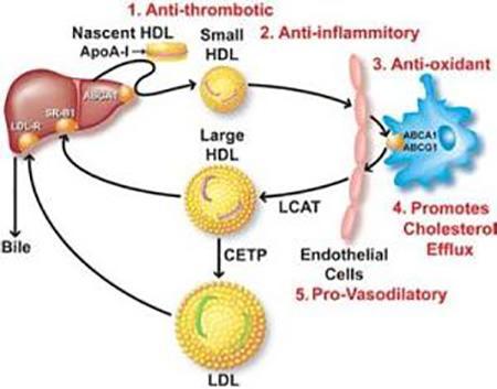 生活中的设计不合理