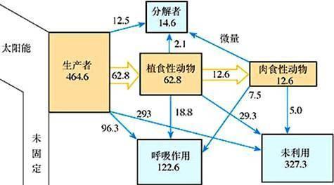 同化量