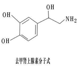 去甲肾上腺素