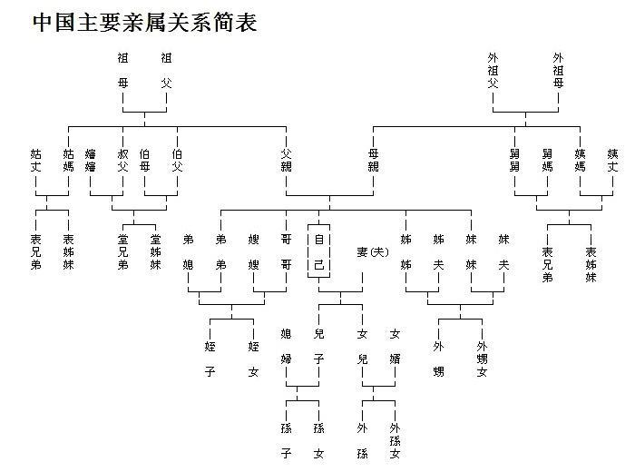 外祖父母,儿媳和公婆以及其他三代以内的旁系血亲,亲属不等于家庭成员