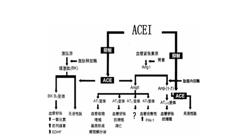 血管紧张素转换酶抑制剂