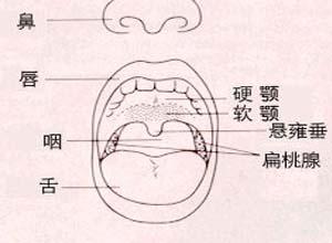 软腭疼痛