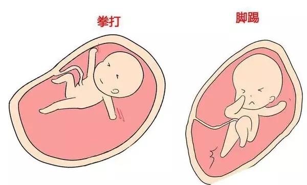 胎动在右边正常吗,怀孕胎动在右边正常吗,怀孕七个月胎动在右边正常吗
