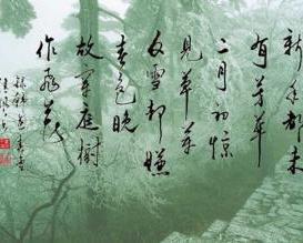 故穿庭树作飞花(诗歌)