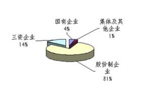 社会经济活动总量_社会实践活动照片