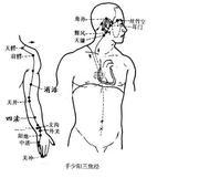 三焦经