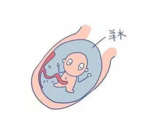 羊水