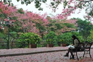 广州大学华软软件学院图册