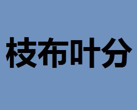 枝布什么成语_成语故事简笔画(2)