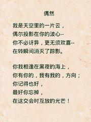 徐志摩偶然解析 0