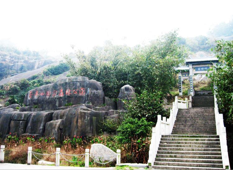 董奉山国家森林公园