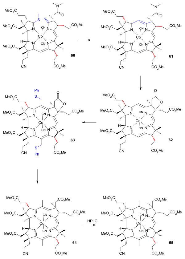 维生素b12全合成